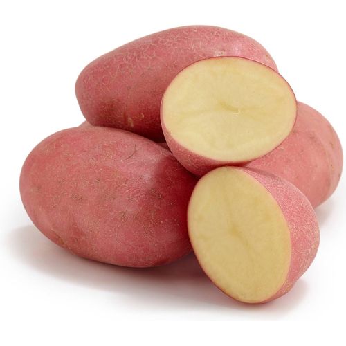 Potato Red Desiree / kg