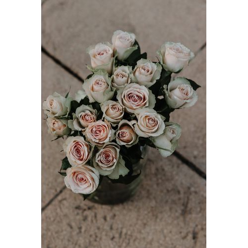 Bunch 2 | Dusted Roses