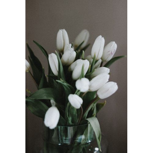 Bunch 8 | White Tulips