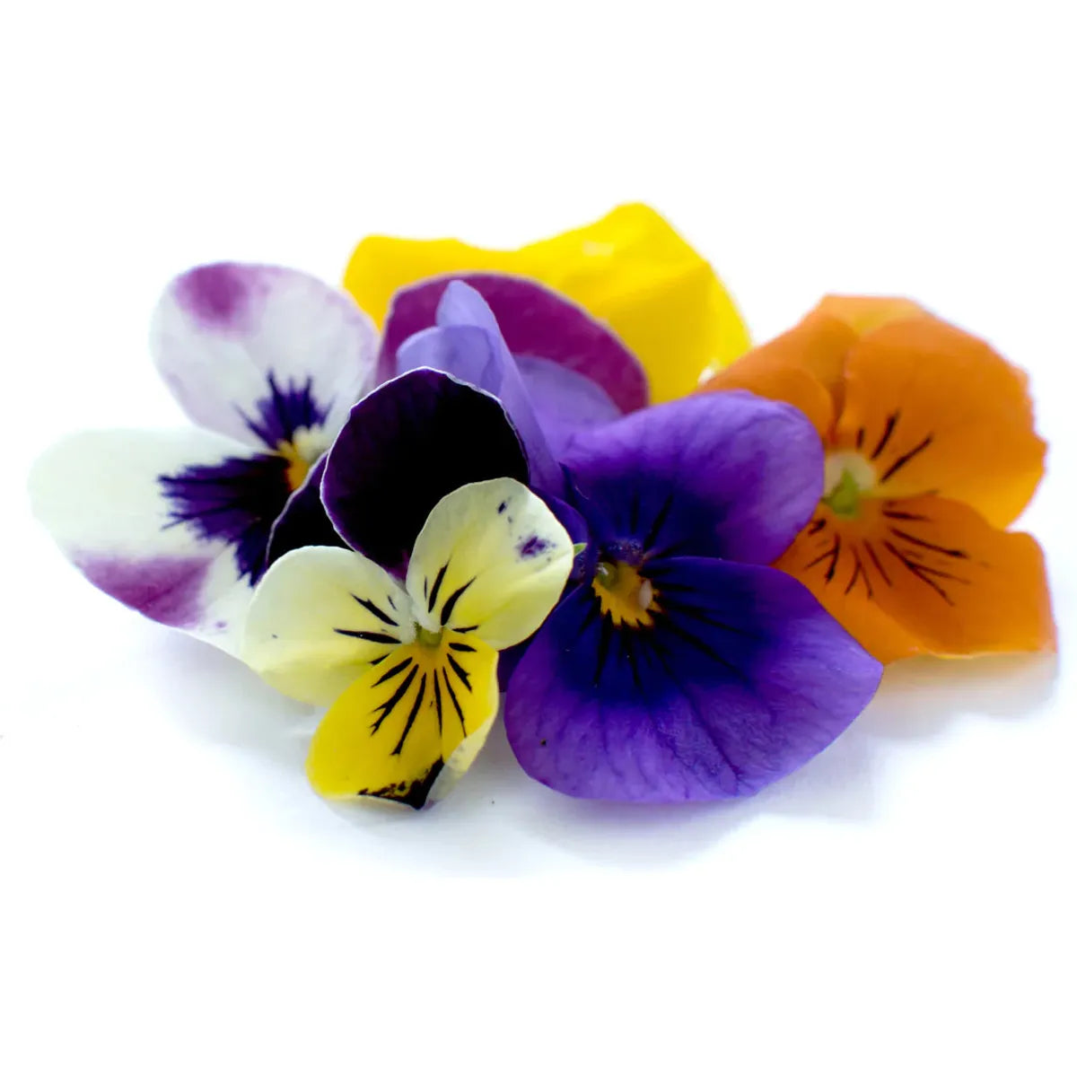 Edible Flowers Small Punnet  - Viola
