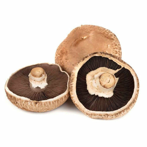 Mushroom Portobello 375g