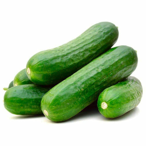 Cucumber Lebanese /kg