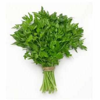 Parsley Continental - Bunch