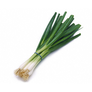 Spring Onion - Bunch