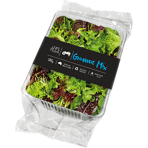 Lettuce Salad Mix - 100g