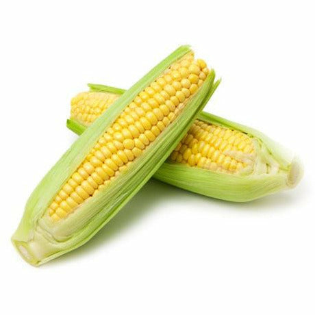 Corn Cob - Each