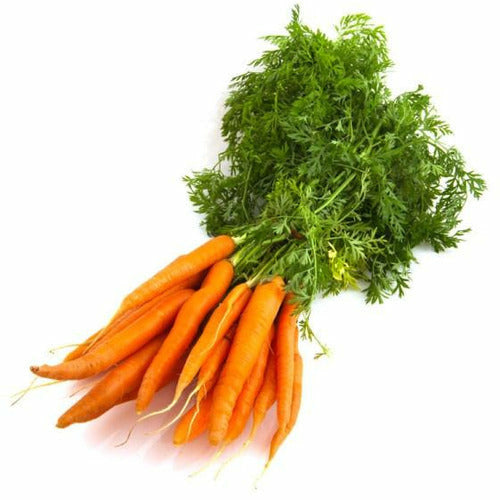 Carrots Dutch - Bunch