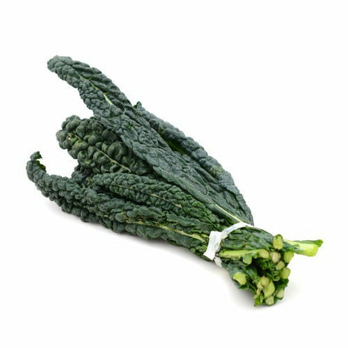 Kale Tuscan - Bunch